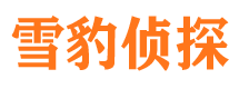 澄江寻人公司